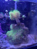 IMG_2528.jpeg