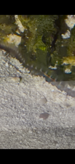 IMG_1325.png