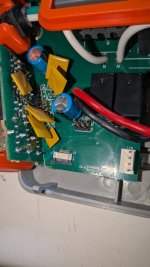 PXL_20260420_214741002.MACRO_FOCUS.jpg