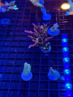 IMG_0761.jpeg
