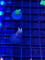 IMG_0759.jpeg