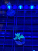 IMG_0757.jpeg