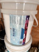 IMG_6491.jpeg