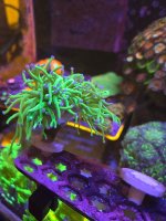 20260406_120621.jpg
