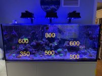 IMG_0680.jpeg