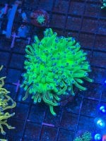 IMG_6630.jpeg