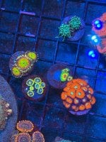 IMG_6629.jpeg