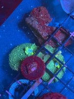 IMG_6625.jpeg