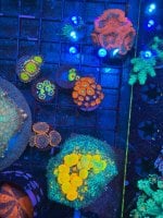 IMG_6619.jpeg