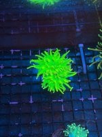 IMG_6615.jpeg