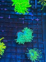 IMG_6616.jpeg