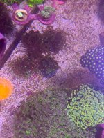IMG_0583.jpeg