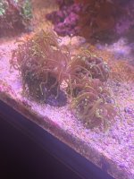 IMG_0584.jpeg