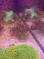 IMG_0588.jpeg