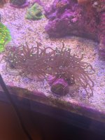 IMG_0589.jpeg