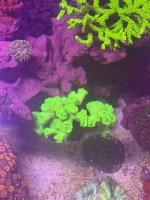 IMG_0581.jpeg