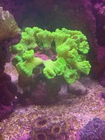 IMG_0587.jpeg
