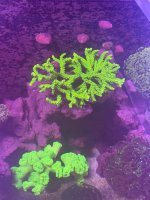 IMG_0582.jpeg