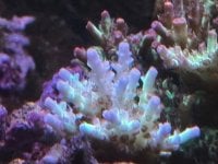 IMG_3941.jpeg