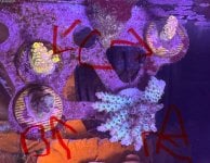 IMG_2823.jpeg