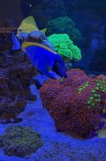 IMG_2117.jpeg