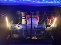 IMG_1123.jpeg
