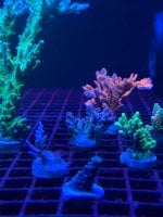 IMG_0859.jpeg