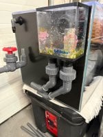IMG_1604.jpeg