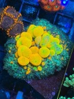 IMG_7308.jpeg