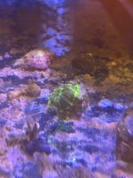 IMG_2183.jpeg
