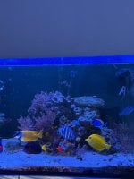 IMG_0003.jpeg