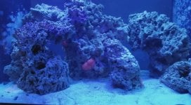 IMG_1173.jpeg