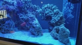 IMG_1175.jpeg