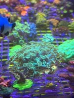 IMG_0128.jpeg