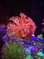 IMG_0123.jpeg