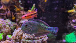 PXL_20260531_233609304_exported_16335.jpg