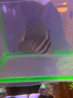 IMG_0569.jpeg