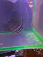 IMG_0568.jpeg