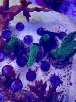 AquaCam_96B8EA76.jpeg