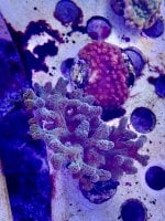 AquaCam_7CA18C9D.jpeg