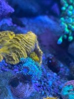 IMG_5852.jpeg