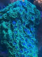 IMG_5854.jpeg