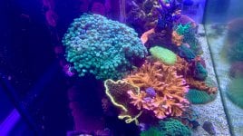 AquaCam_4F0406AC.jpeg