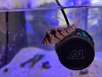 IMG_2649.jpeg