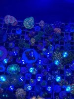 IMG_1783.jpeg