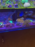 IMG_1787.jpeg