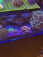IMG_1788.jpeg