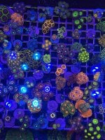 IMG_1777.jpeg