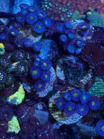 IMG_5187.jpeg