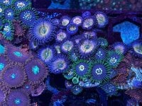 IMG_5189.jpeg